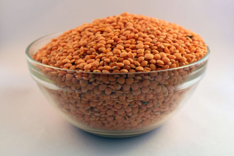 Masoor Whole Skinless Red Lentil Whole Skinless Samruddhi Organic